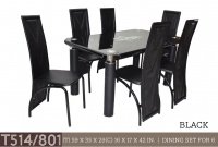 Model: T514 / 801 (6's)