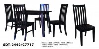 Model: SDT-2442 / C7717 (4's)
