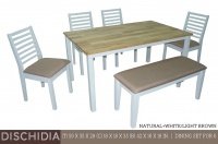 Model: DISCHIDIA (6's)