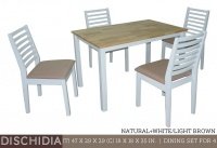 Model: DISCHIDIA (4's)