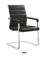 Model: 6003