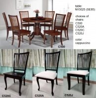 Model: NV3025 (SE85) / C500 (6's)