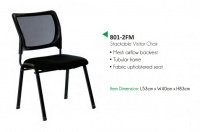 Model: 801-2FM