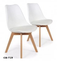 Model: CH719
