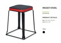 Model: MICKEY