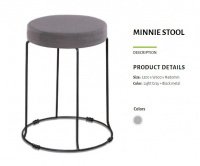 Model: MINNIE
