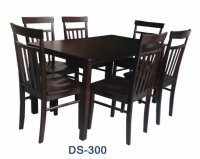 Model: DS-300 (4's & 6's)